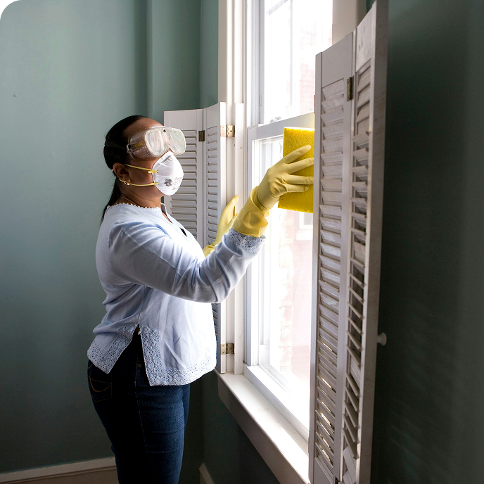 Window Cleaning